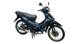 Skygo Duke 110 Motorcycle image