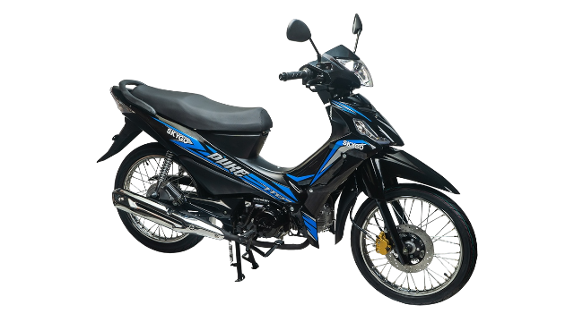 Skygo Duke 110 Motorcycle image